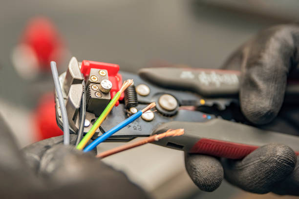 Best Electric Panel Repair  in Lighthouse Point, FL